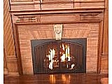 Fireplace Doors